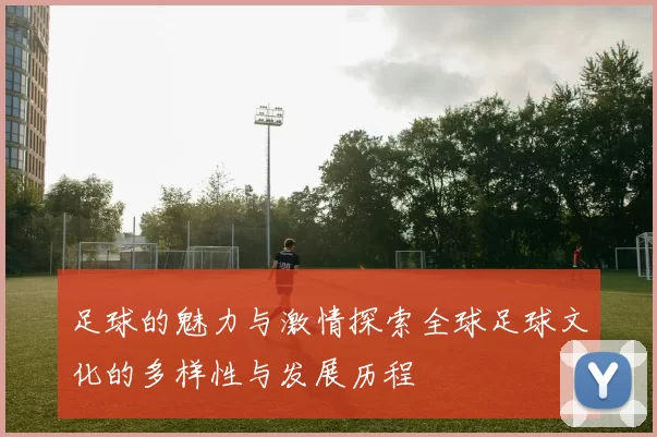 足球的魅力与激情探索全球足球文化的多样性与发展历程