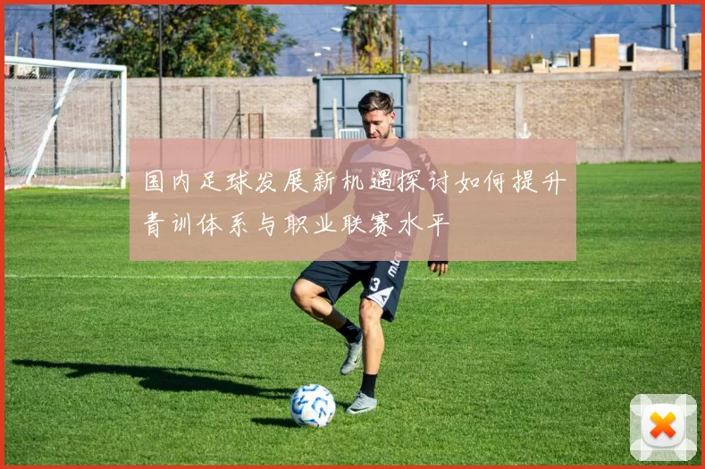 国内足球发展新机遇探讨如何提升青训体系与职业联赛水平
