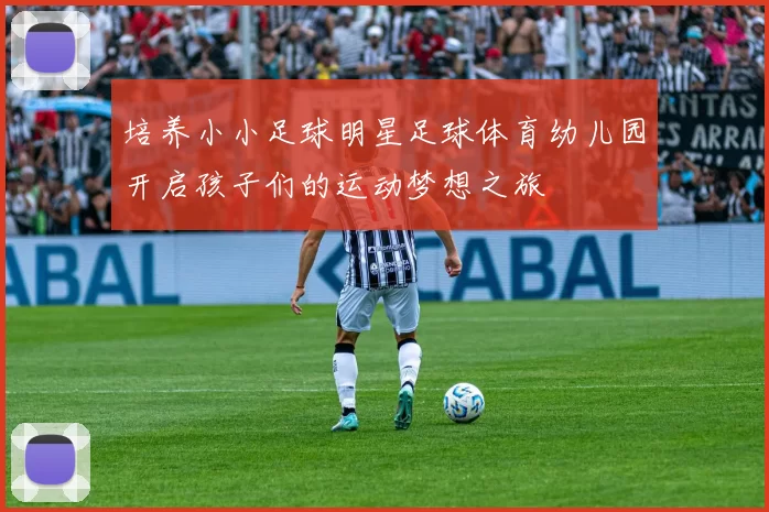培养小小足球明星足球体育幼儿园开启孩子们的运动梦想之旅