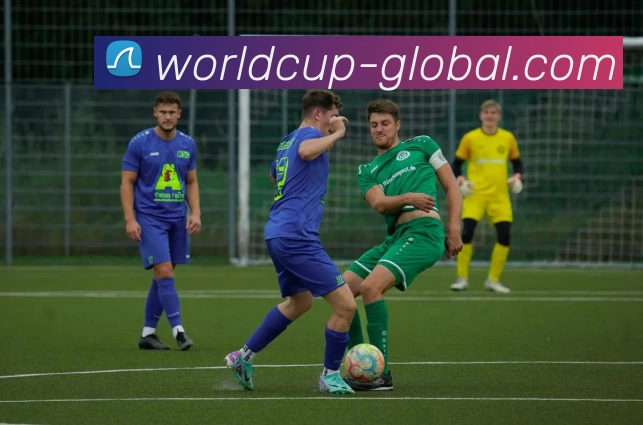 多媒体互动体验